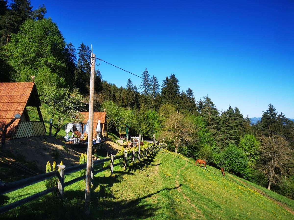 Glamping Mm Muta Exterior foto